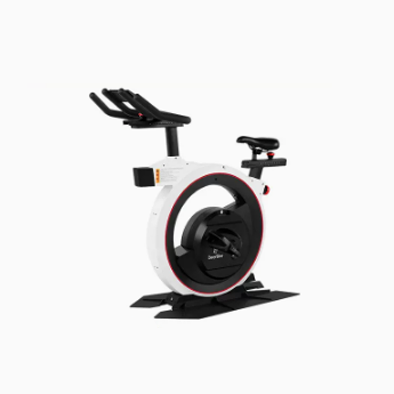 英派斯实景健身车自行动感单车家用款减肥运动小型超静音