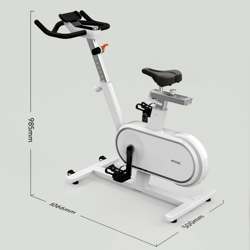 英派斯动感单车家用款室内静音小型健身车减肥健身器材
