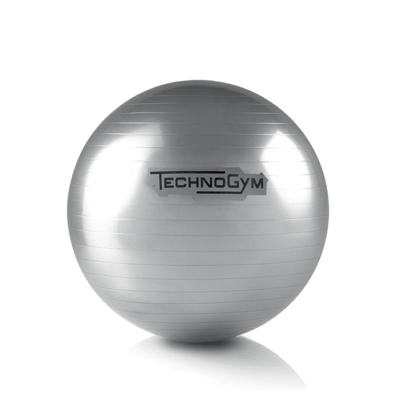 Technogym泰诺健意大利家用室内健身瑜伽球拉伸塑性减肥WELLNESS